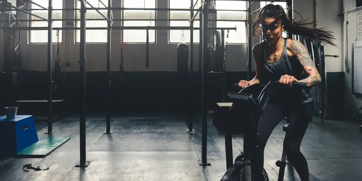 Fitness boxing