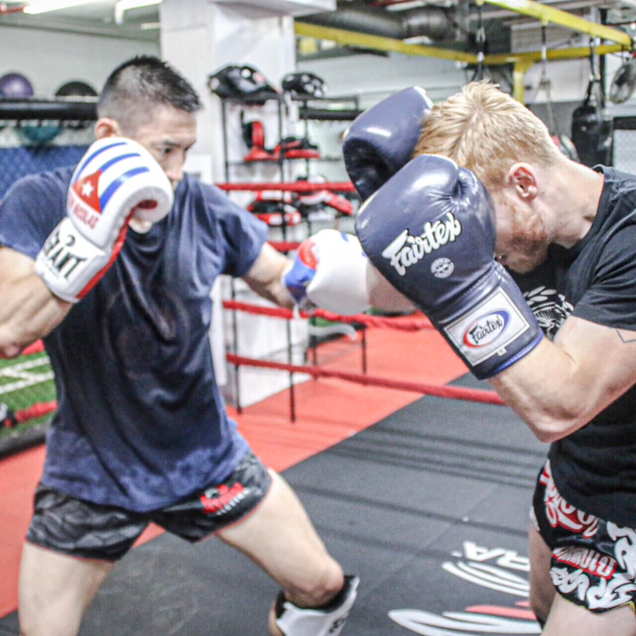 Sparring Session Two fighters sparring in a gym, wearing gloves and training gear inside a boxing ring.